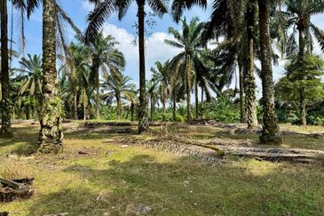 Taman Industri Kulai