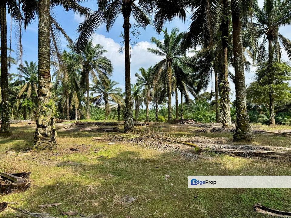 Kulai Zon INDUSTRY Land For Sale , Johor, Kulai