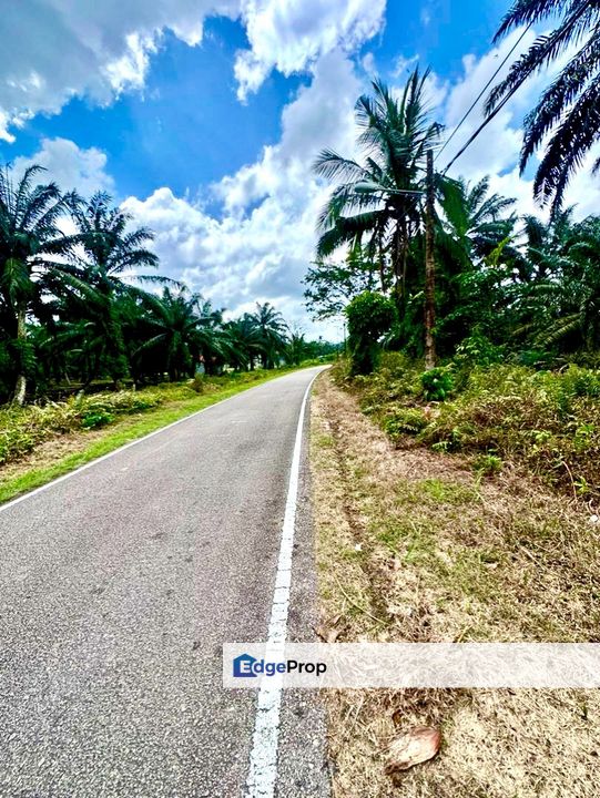 Kukup Road Side Land For Sale , Johor, Pontian