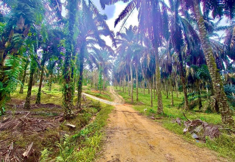 Kawasan Perindustrian Seelong