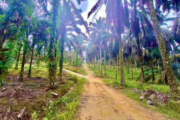 Kawasan Perindustrian Seelong