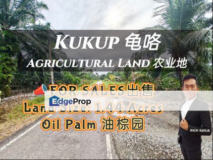 Kukup Road Side Agricultural Land For Sale, Johor, Pontian