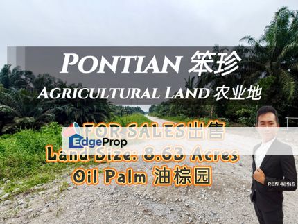 Pontian Oil Palm Land For Sale, Johor, Pontian