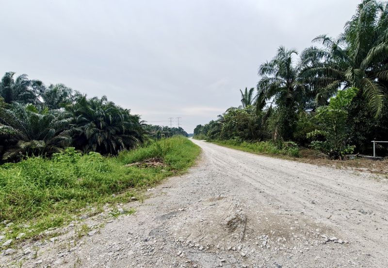 Rimba Terjun Pontian