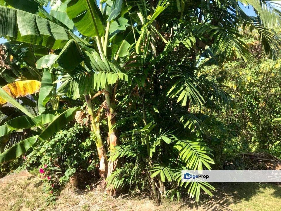 Bukit Kempas Zon RESIDENTIAL Land For Sale , Johor, Johor Bahru