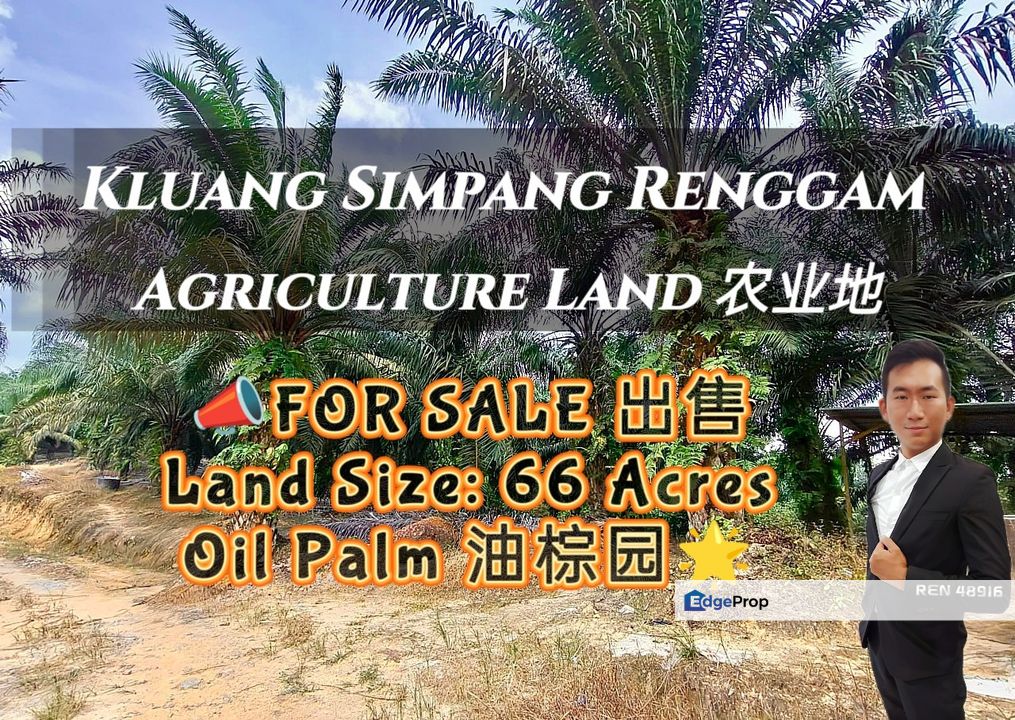 Kluang Simpang Renggam Land For Sale , Johor, Kluang