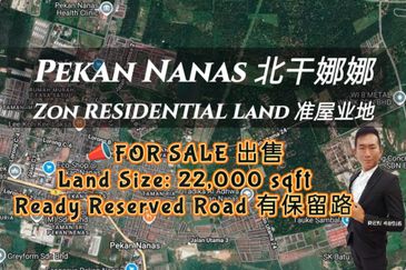 Taman Utama, Pekan Nanas