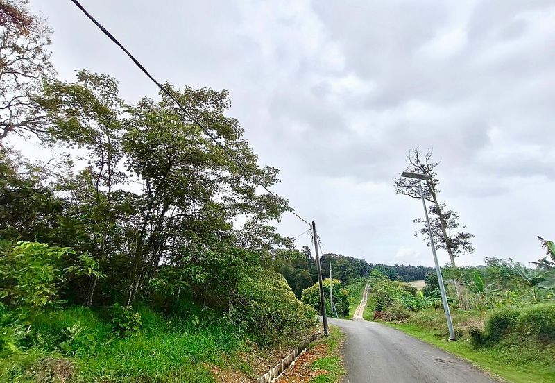 Senai Industrial Park