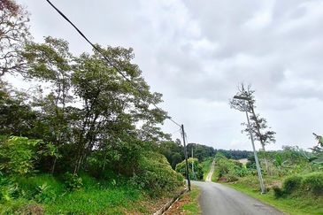 Senai Industrial Park