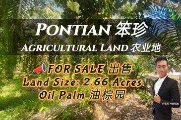 Rimba Terjun Pontian