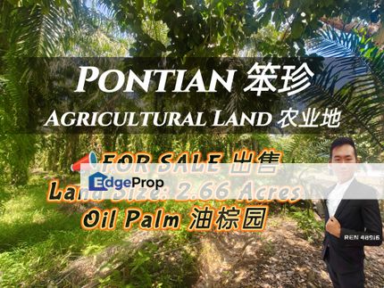 Pontian Oil Palm Land For Sale , Johor, Pontian