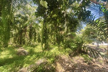 Rimba Terjun Pontian