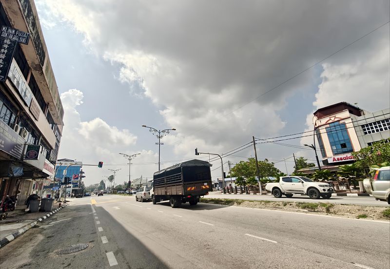 Taman Utama, Pekan Nanas