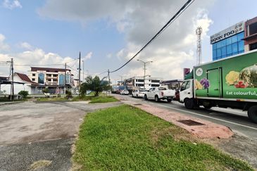 Taman Utama, Pekan Nanas