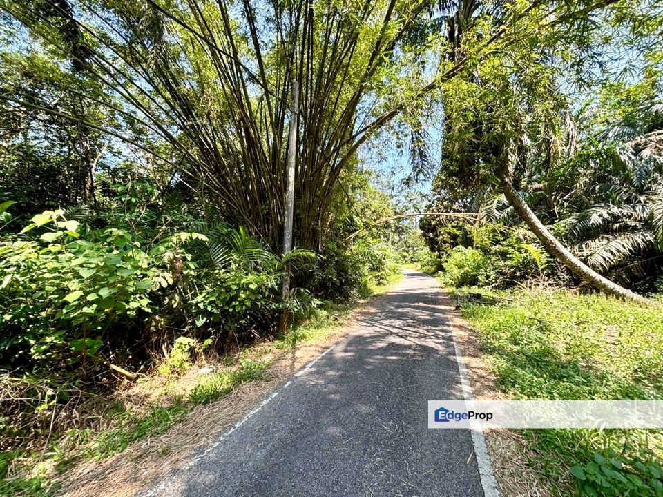 Gelang Patah Zon INDUSTRY Land For Sale , Johor, Gelang Patah