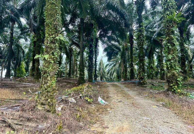 Empire Park @ Kulai, Jalan Lagenda 1, Kulai, Johor