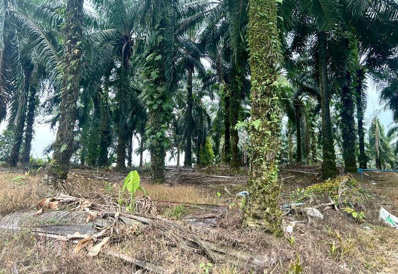 Empire Park @ Kulai, Jalan Lagenda 1, Kulai, Johor