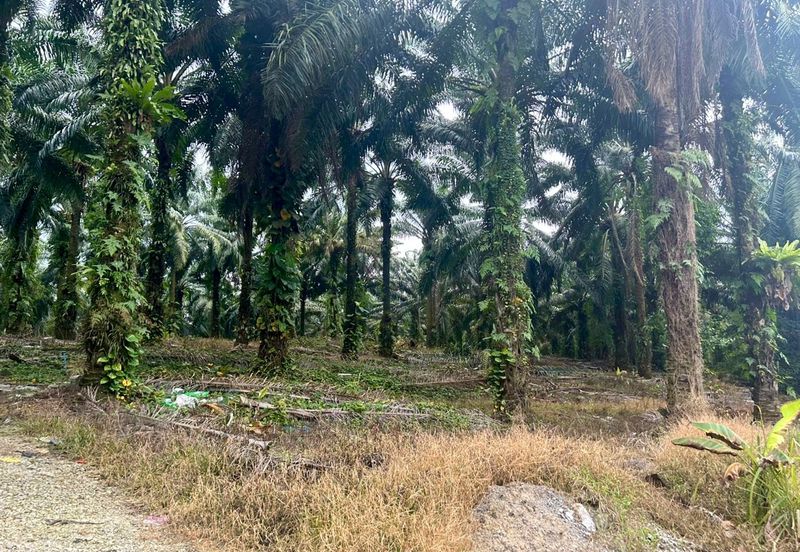 Empire Park @ Kulai, Jalan Lagenda 1, Kulai, Johor