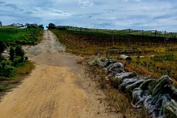 Kawasan Perindustrian Seelong