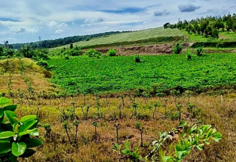 Kawasan Perindustrian Seelong