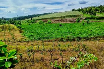 Kawasan Perindustrian Seelong