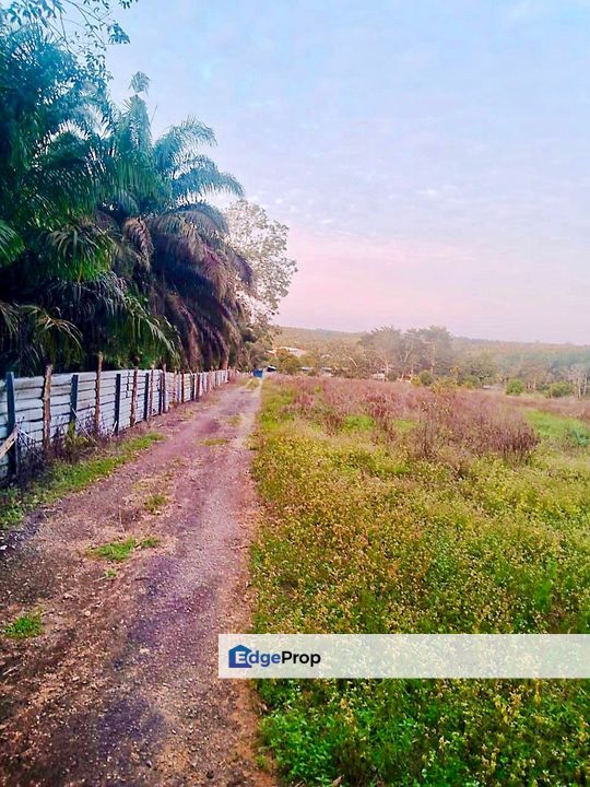 Plentong Land For Sale, Johor, Johor Bahru