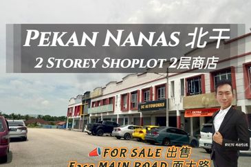 Pekan Nanas