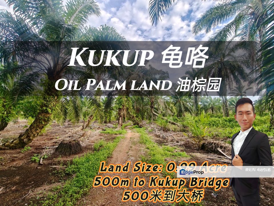 Kukup Nearby Bridge Land For Sale, Johor, Pontian