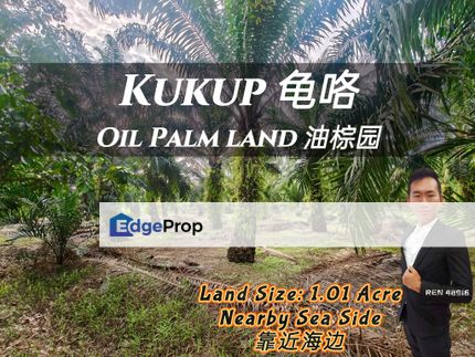 Kukup River Side Land For Sale, Johor, Pontian
