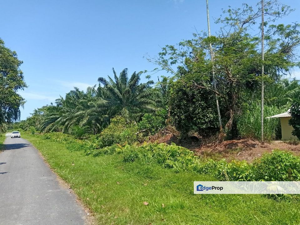 Kukup Nearby Tanjung Bin Land For Sale, Johor, Pontian
