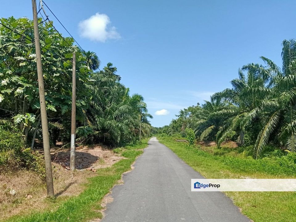 Kukup Nearby Tanjung Bin Land For Sale, Johor, Pontian