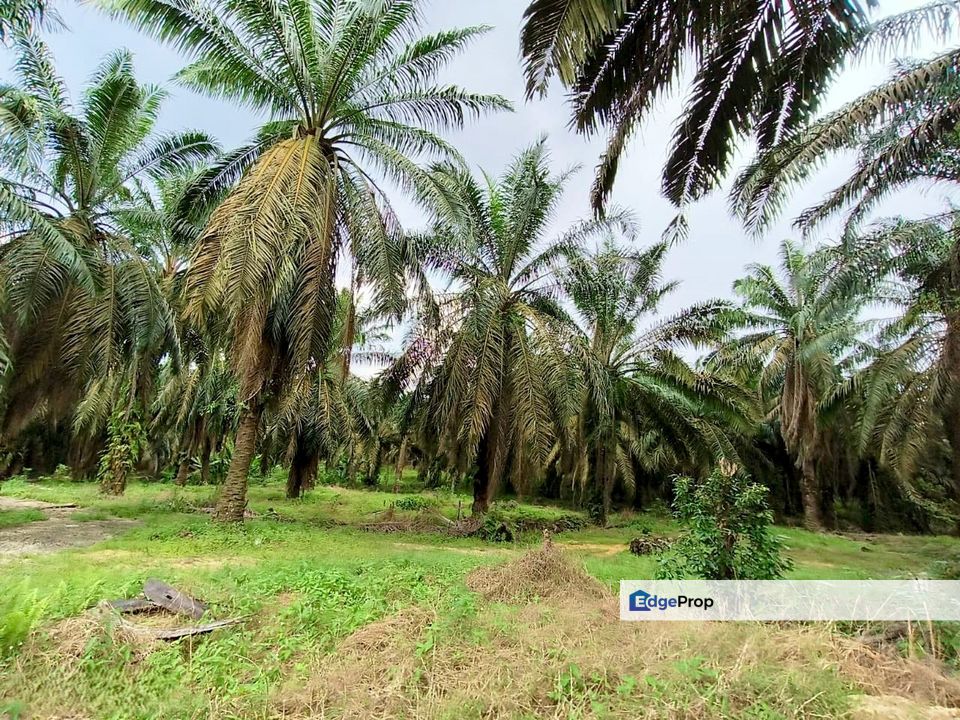 Nearby Gelang Patah Land For Sale, Johor, Gelang Patah