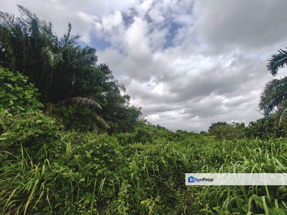 Puteri Harbour Seaside Land For Sale , Johor, Johor Bahru