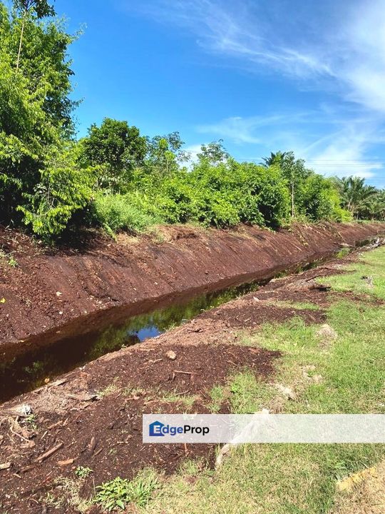 Pontian MAIN ROAD Land For Rent, Johor, Pontian