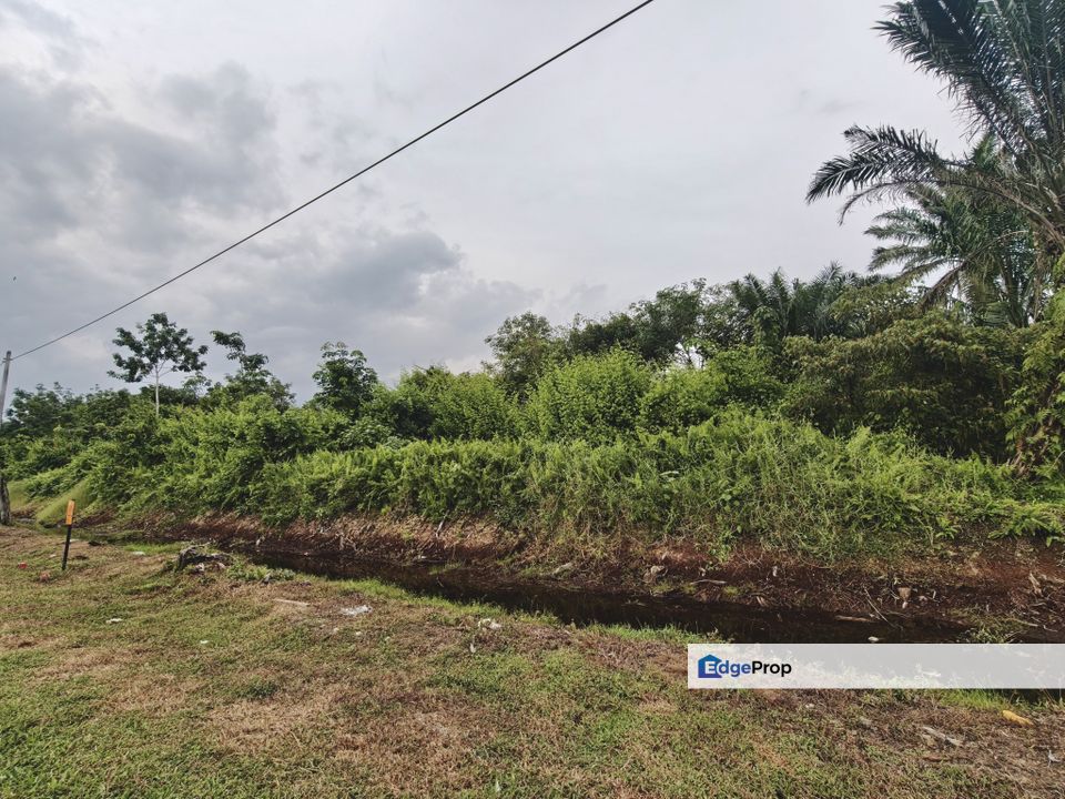 Pontian MAIN ROAD Land For Rent, Johor, Pontian