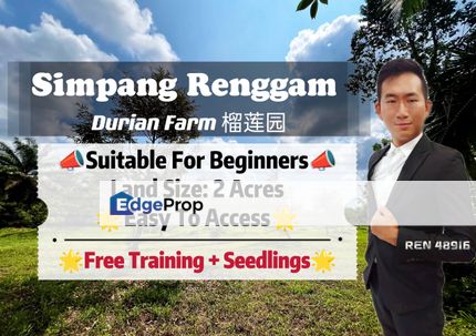 Simpang Renggam Durian Farm, Free Training , Johor, Kluang