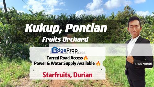 Kukup Durian & Fruits Farm, Johor, Pontian