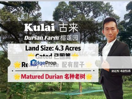 Kulai Matured Durian Farm (Gated), Johor, Kulai