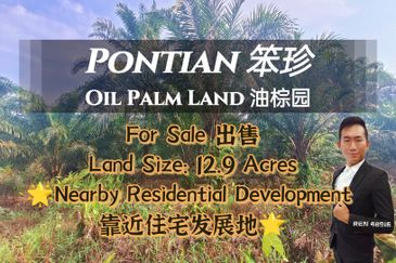Oil Palm Land Nearby Pontian Perdana For Sale