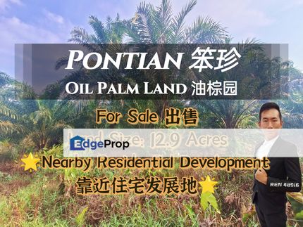 Oil Palm Land Nearby Pontian Perdana For Sale, Johor, Pontian