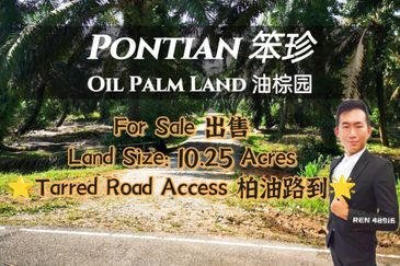 Pontian Oil Palm Land For Sale