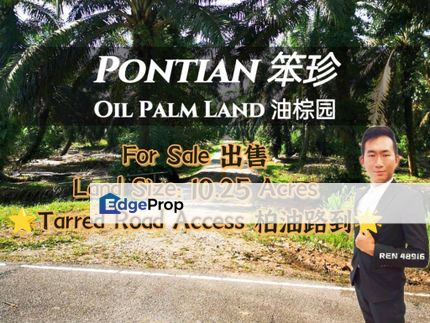 Pontian Oil Palm Land For Sale, Johor, Pontian