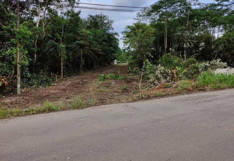 Pekan Nanas Industrial