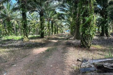 JERAM BATU PEKAN NENAS