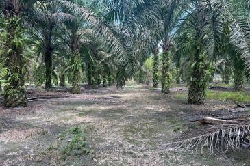 JERAM BATU PEKAN NENAS
