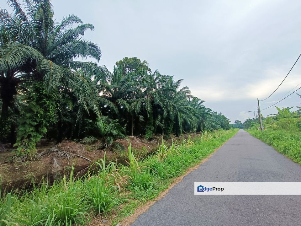 Kukup Land Nearby Sungai Pulai Bridge & Tanjung Bin Power PlantFor Sale, Johor, Pontian