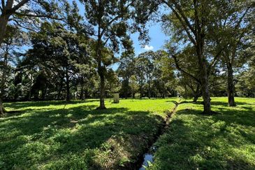 Pontian Durian Farm For Sale