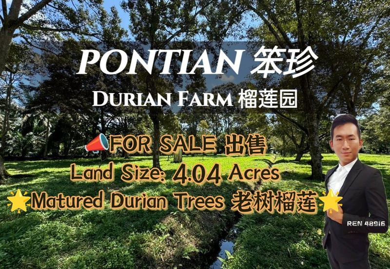 Pontian Durian Farm For Sale