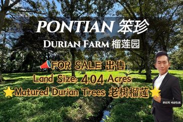 Pontian Durian Farm For Sale