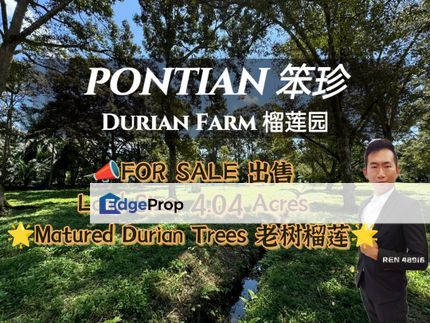 Pontian Durian Farm For Sale, Johor, Pontian